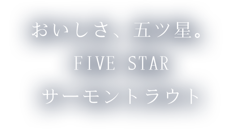 FIVE STARサーモン